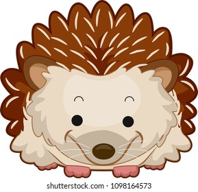Illustration of a Hedgehog with Spines Smiling