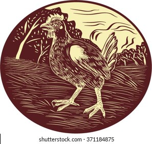 Illustration of a hen in a farm with trees in the background set inside oval shape done in retro woodcut style. 