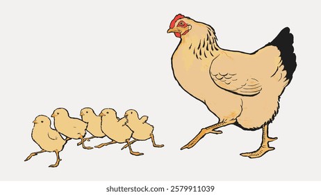 Illustration of a hen leading five chicks. The hen and chicks are walking in a line. The hen appears protective of the chicks. Simple, charming farm scene. Vintage bird illustration vector.