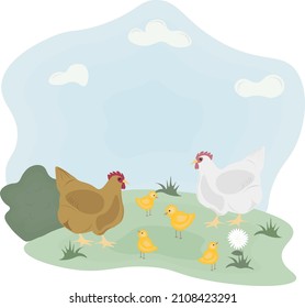 illustration of hens with chicks in the meadow