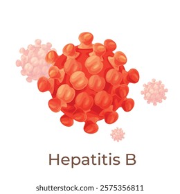 Illustration of the hepatitis B virus highlighting its unique structure, size and features that have implications for understanding viral infection in humans.