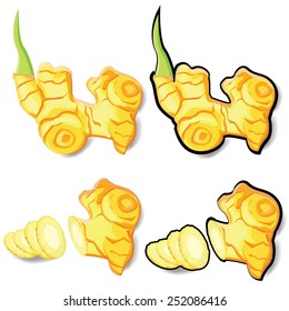 illustration herb ,ginger on white