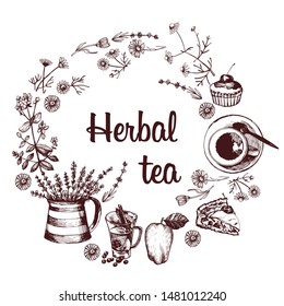 Illustration with herbal tea and herbs. Vector illustration. Fragrant herbs, herbal infusions. Manual graphics.