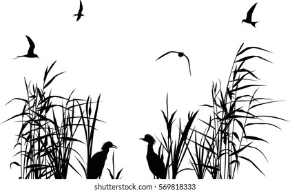 illustration with heron between reed silhouettes isolated on white background