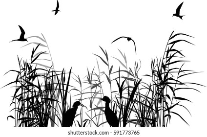 illustration with heron between reed silhouettes isolated on white background