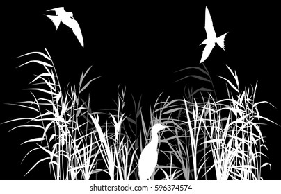 illustration with heron between reed silhouettes isolated on black background