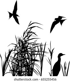 illustration with heron between reed silhouettes isolated on white background