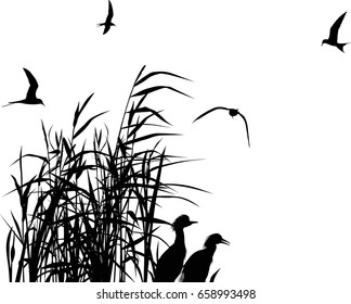 illustration with heron between reed silhouettes isolated on white background