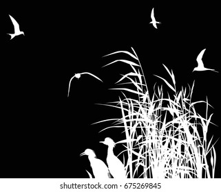 illustration with heron between reed silhouettes isolated on black background