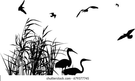 illustration with heron between reed silhouettes isolated on white background