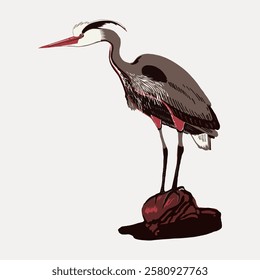 Illustration of a heron standing on a rock. The heron features long legs and a sharp beak. Heron design in muted colors, showcasing its elegant posture. Vintage bird illustration vector.