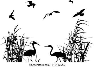 illustration with herons between reed silhouettes isolated on white background