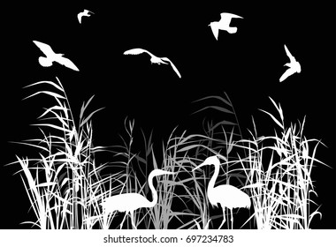 illustration with herons between reed silhouettes isolated on black background