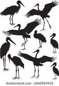 illustration with herons collection isolated on white background