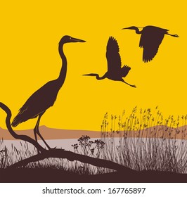 illustration herons on the lake at sunrise