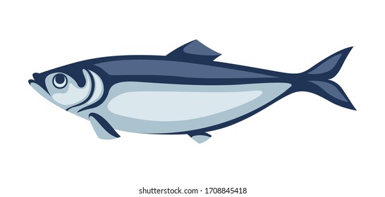 Illustration of herring fish. Pacific sardine. Seafood image.