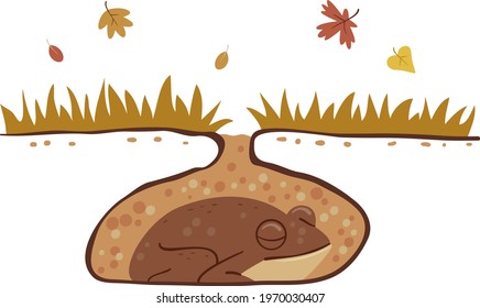 Illustration of a Hibernating Frog Underground During Autumn