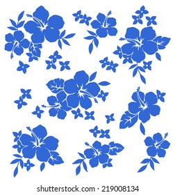illustration of Hibiscus
