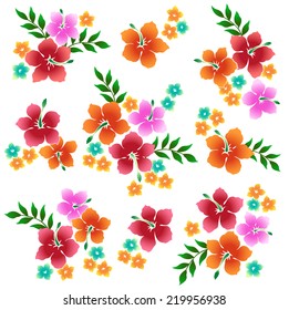illustration of Hibiscus 