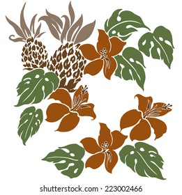 illustration of Hibiscus