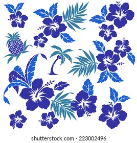 illustration of Hibiscus