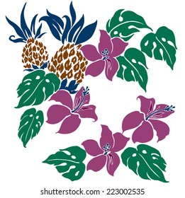 illustration of Hibiscus