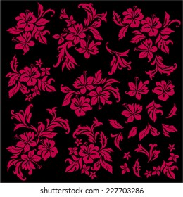 illustration of Hibiscus
