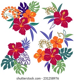 illustration of Hibiscus