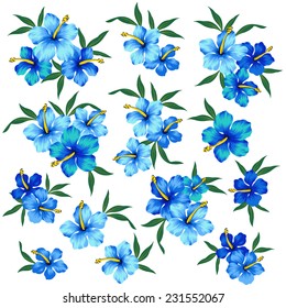 illustration of Hibiscus