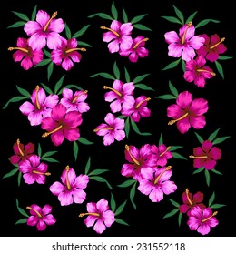 illustration of Hibiscus