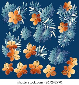 illustration of Hibiscus