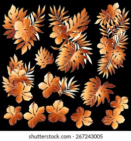 illustration of Hibiscus