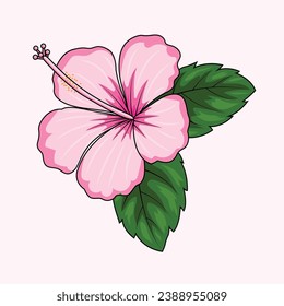 The Illustration of Hibiscus Flower