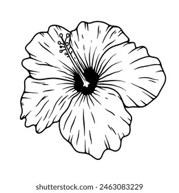 Ilustración de la flor del hibisco aislado sobre fondo blanco. Elemento Design