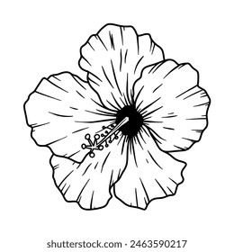 Ilustración de la flor del hibisco aislado sobre fondo blanco. Elemento Design