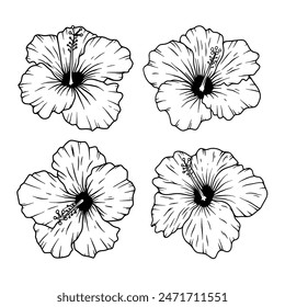 Ilustración de la flor del hibisco aislado sobre fondo blanco. Elemento Design