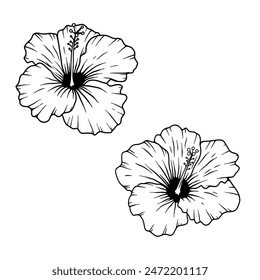 Ilustración de la flor del hibisco aislado sobre fondo blanco. Elemento Design