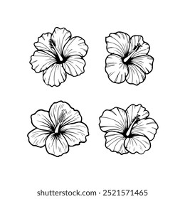 Ilustração da flor de hibisco isolada no fundo branco. Elemento de design