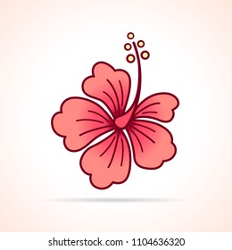 Illustration of hibiscus flower on white background