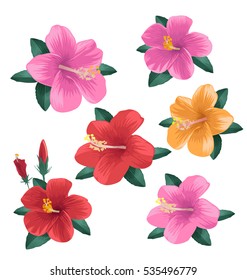 Illustration of  hibiscus flower set