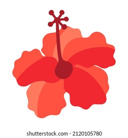 Illustration of hibiscus flower. Summer image for holiday or vacation.