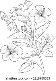 illustration of a hibiscus flower, vector sketch pencil art, bouquet floral coloring and book page botanical leaf branch collection isolated on white background clipart.
