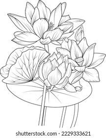 illustration of a hibiscus flower, vector sketch pencil art, bouquet floral coloring page and book isolated on white background clipart.Black and white engraved ink art.