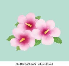 
Illustration with hibiscus flowers and leaves