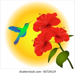 Illustration of  hibiscus and humming bird