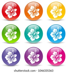 Illustration of hibiscus set icons on white background