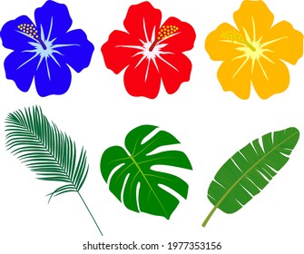 Illustration of hibiscus and tropical leaves