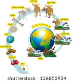 Illustration of the hierarchy of biological organization - from atom to the organism.