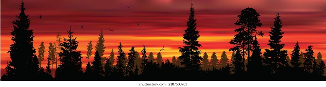 Illustration mit hohem dunklem Baum im Wald bei Sonnenuntergang