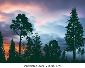 illustration with high dark tree in forest at sunset
